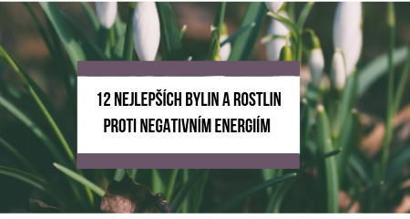 12 nejlepších bylin a rostlin proti negativním energiím