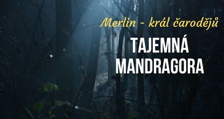 Merlin - král čarodějů: Tajemná MANDRAGORA