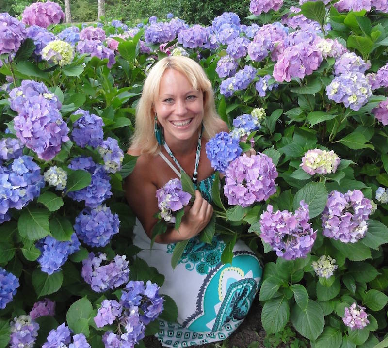 Hortensie Ivona Antalli