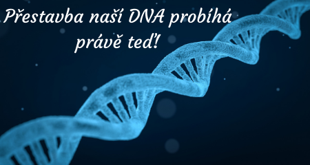 Přestavba naší DNA probíhá právě teď!