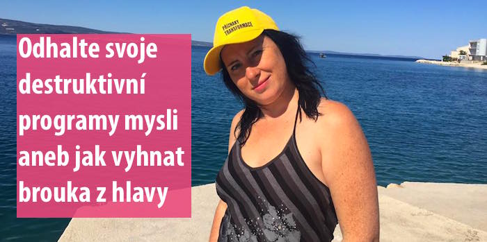 Jak vyhnat brouka z hlavy? Ava Chrtková