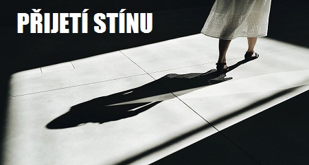 Radka Svobodová: PŘIJETÍ STÍNU