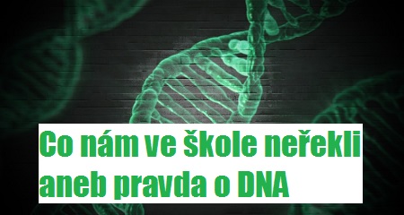 Lucie Švecová: Co nám ve škole neřekli aneb pravda o DNA