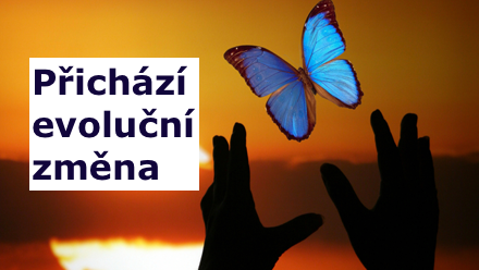 Evoluční změna tranformace